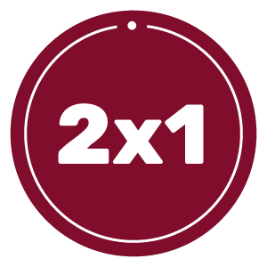 2x1